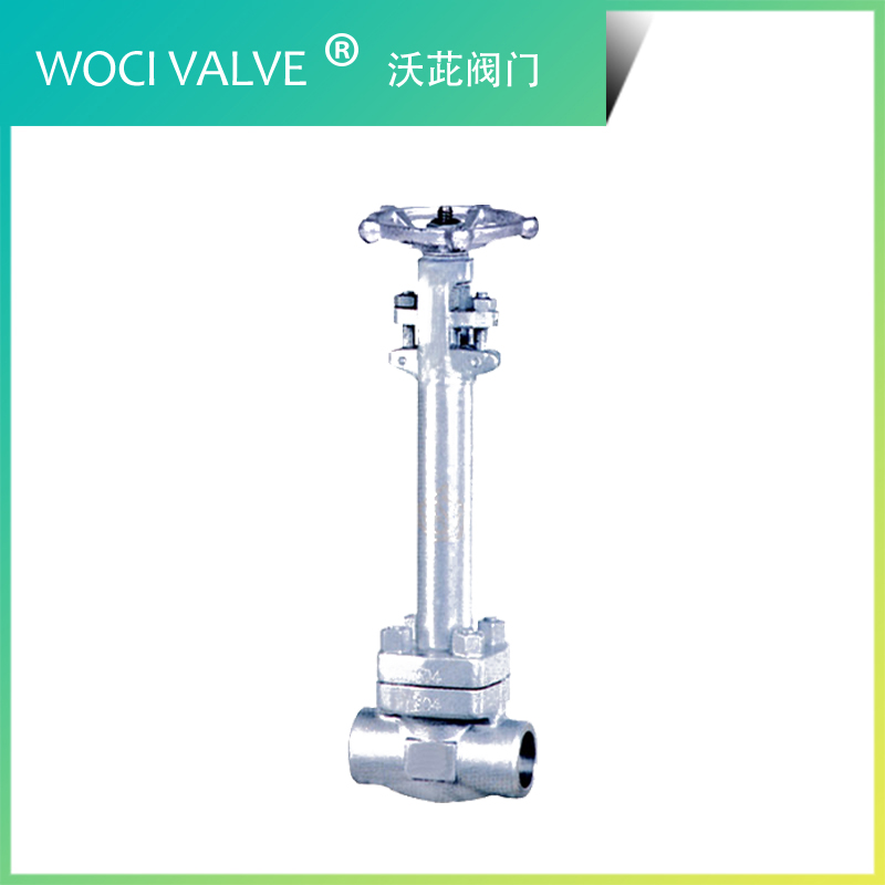 DZ11Y 不銹鋼低溫閘閥